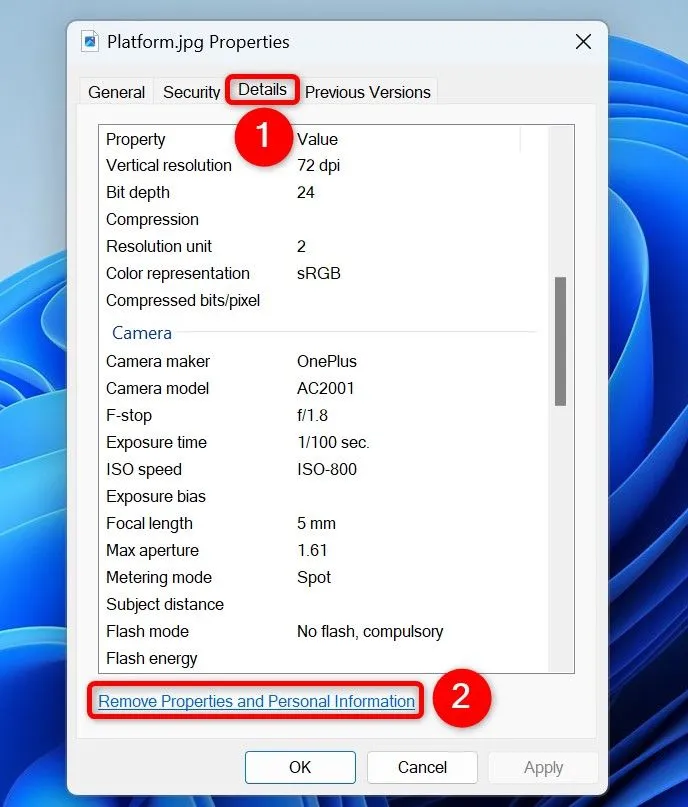 Cửa sổ &quot;Properties&quot; của một tệp ảnh trên Windows 11, hiển thị tab &quot;Details&quot; và nút &quot;Remove Properties and Personal Information&quot; được khoanh vùng.