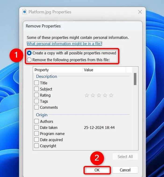 Cửa sổ tùy chọn &quot;Remove Properties&quot; trên Windows 11, cho phép người dùng chọn tạo bản sao ảnh không có metadata hoặc chọn lọc các thuộc tính EXIF cần xóa.
