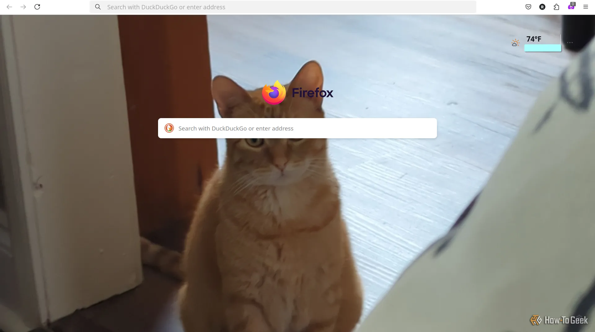 Trang chủ Firefox với hình ảnh mèo được đặt làm hình nền tùy chỉnh, minh họa khả năng cá nhân hóa tab mới.