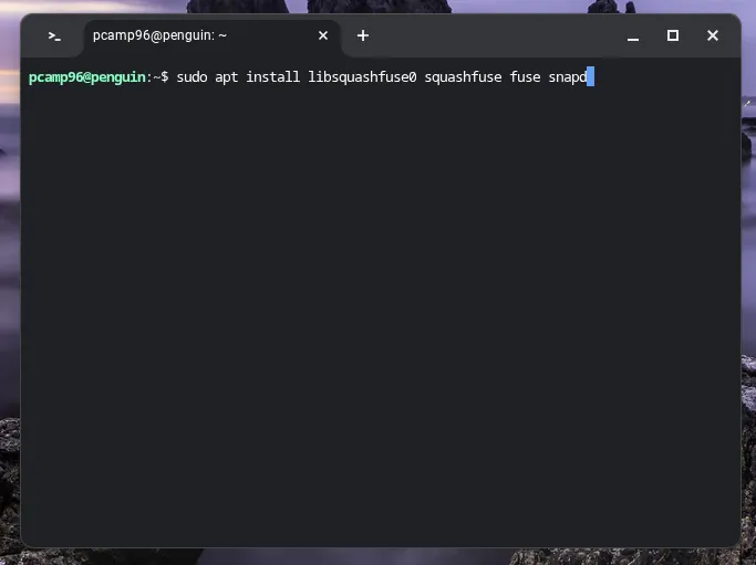 Cài đặt các gói phụ thuộc và Snapd thông qua terminal Linux trên Chromebook.
