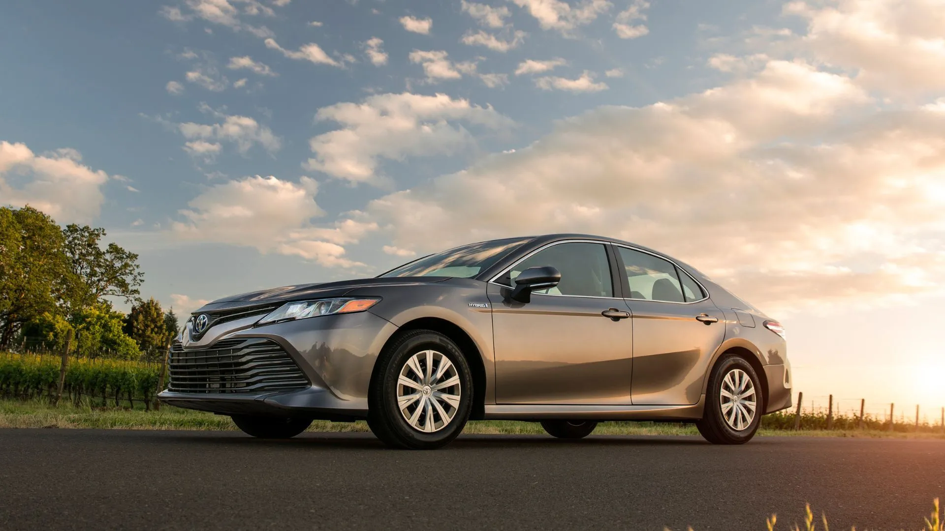 Chiếc Toyota Camry LE Hybrid 2020 màu xám bạc đang đỗ yên tĩnh giữa cảnh quan cây xanh và cánh đồng, thể hiện vẻ ngoài thanh lịch và thực dụng.