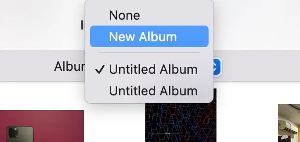 Chọn một album để nhập ảnh và video từ iPhone đã kết nối vào ứng dụng Photos của Mac.