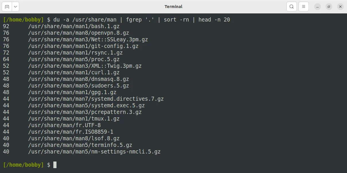Danh sách các file man page lớn nhất trên Ubuntu, bao gồm bash.1.gz, openvpn.8.gz, git-config.1.gz, và proc.5.gz.
