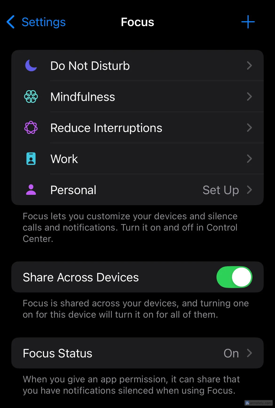 Giao diện cài đặt chế độ Tập trung (Focus) trên iPhone, giúp người dùng tùy chỉnh các phiên làm việc hoặc nghỉ ng ngơi không bị quấy rầy bởi thông báo.