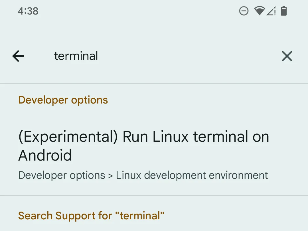 Giao diện tìm kiếm &quot;terminal&quot; trong mục Tùy chọn nhà phát triển trên điện thoại Pixel, hiển thị kết quả &quot;(Thử nghiệm) Chạy Linux terminal trên Android&quot;.