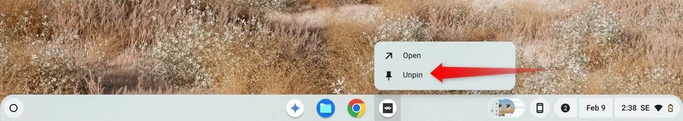 Gỡ một ứng dụng khỏi thanh Shelf trong ChromeOS