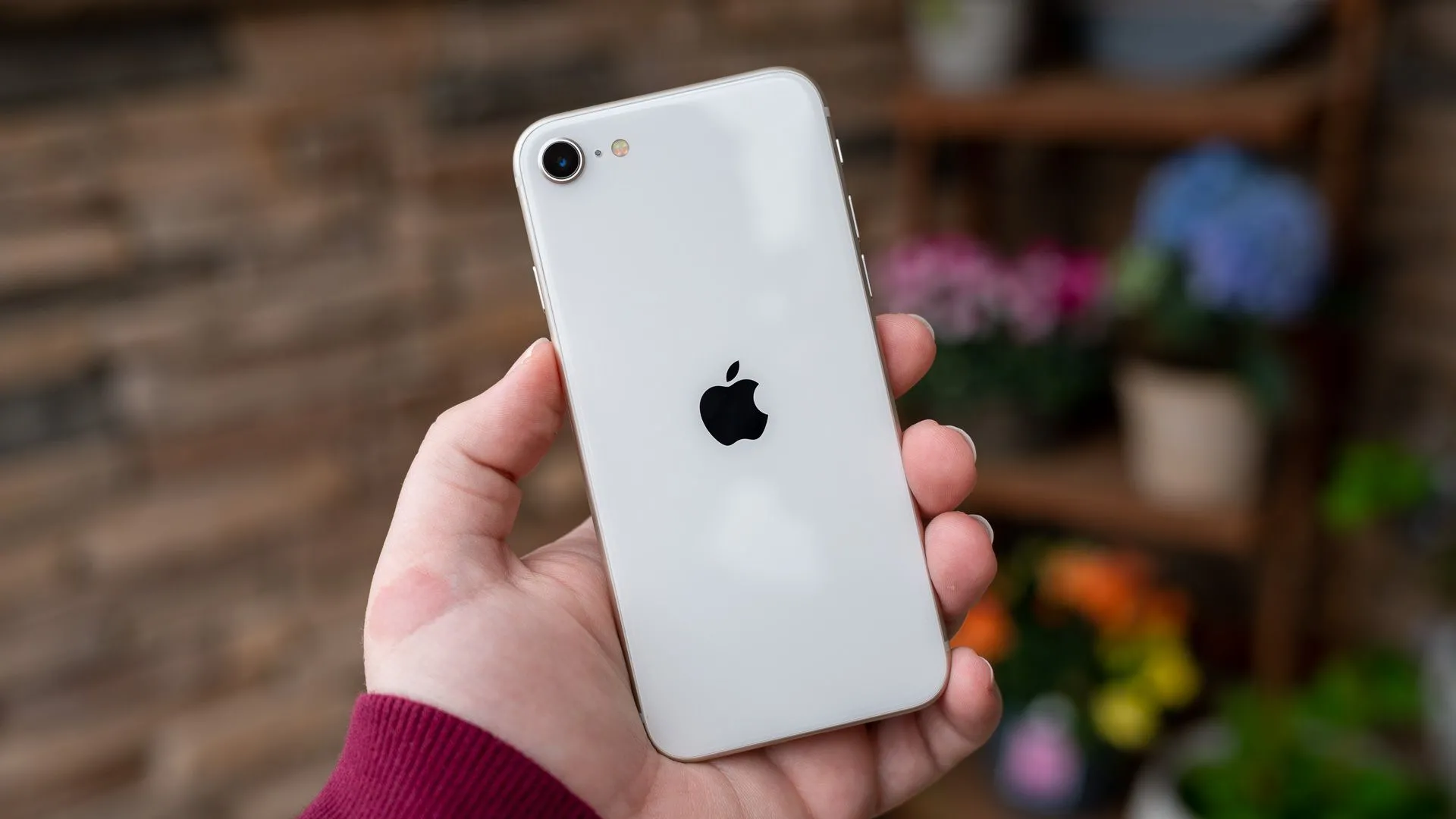 Màn hình chính của iPhone SE 2022, biểu tượng cho giao diện iOS trên thiết bị di động của Apple