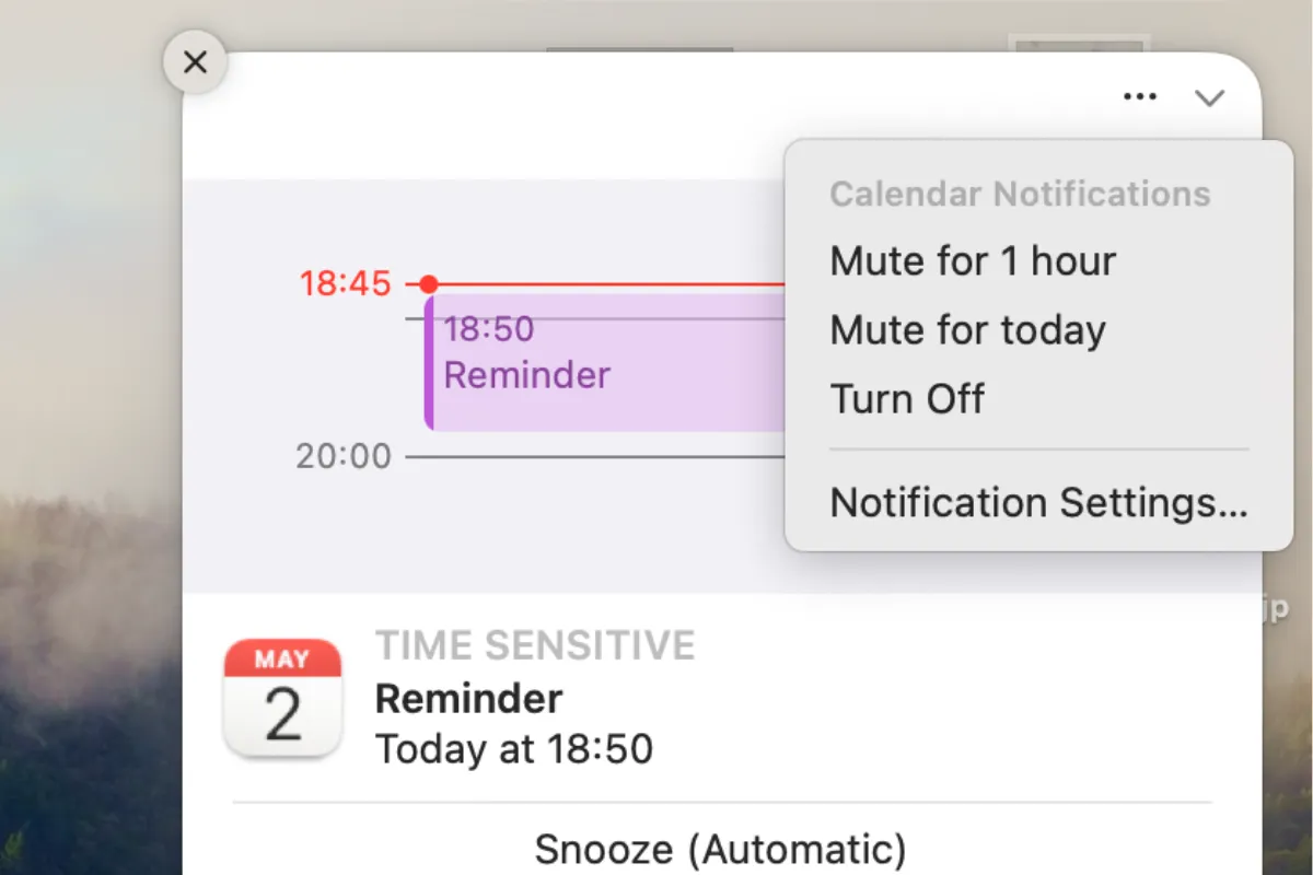Menu tùy chọn tạm thời tắt tiếng thông báo ứng dụng trên macOS (Mute for 1 hour, Mute for today, Turn off).