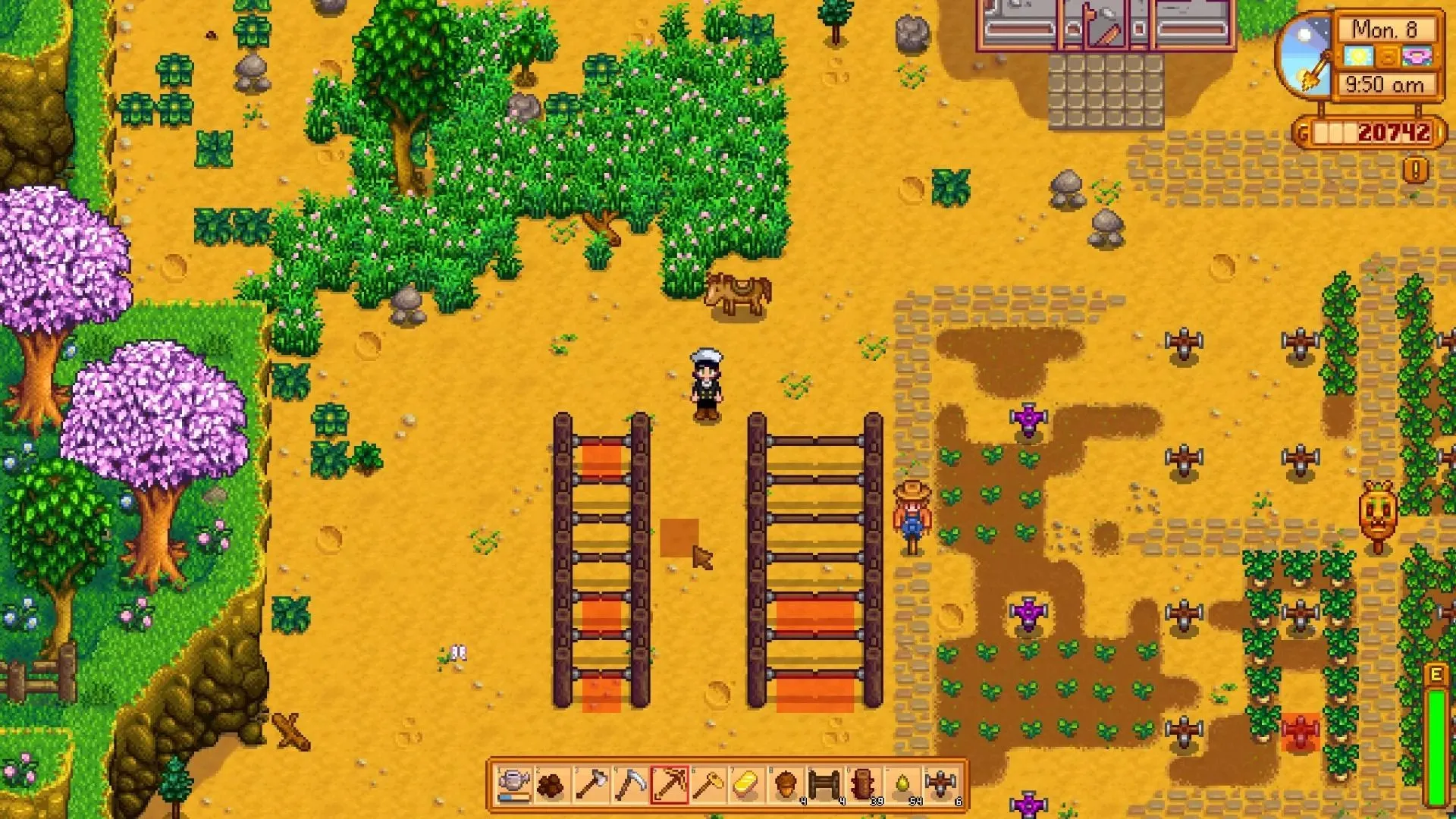 Một người chơi đứng trước hàng loạt cổng tự động trên nông trại Stardew Valley, giúp quản lý vật nuôi dễ dàng.