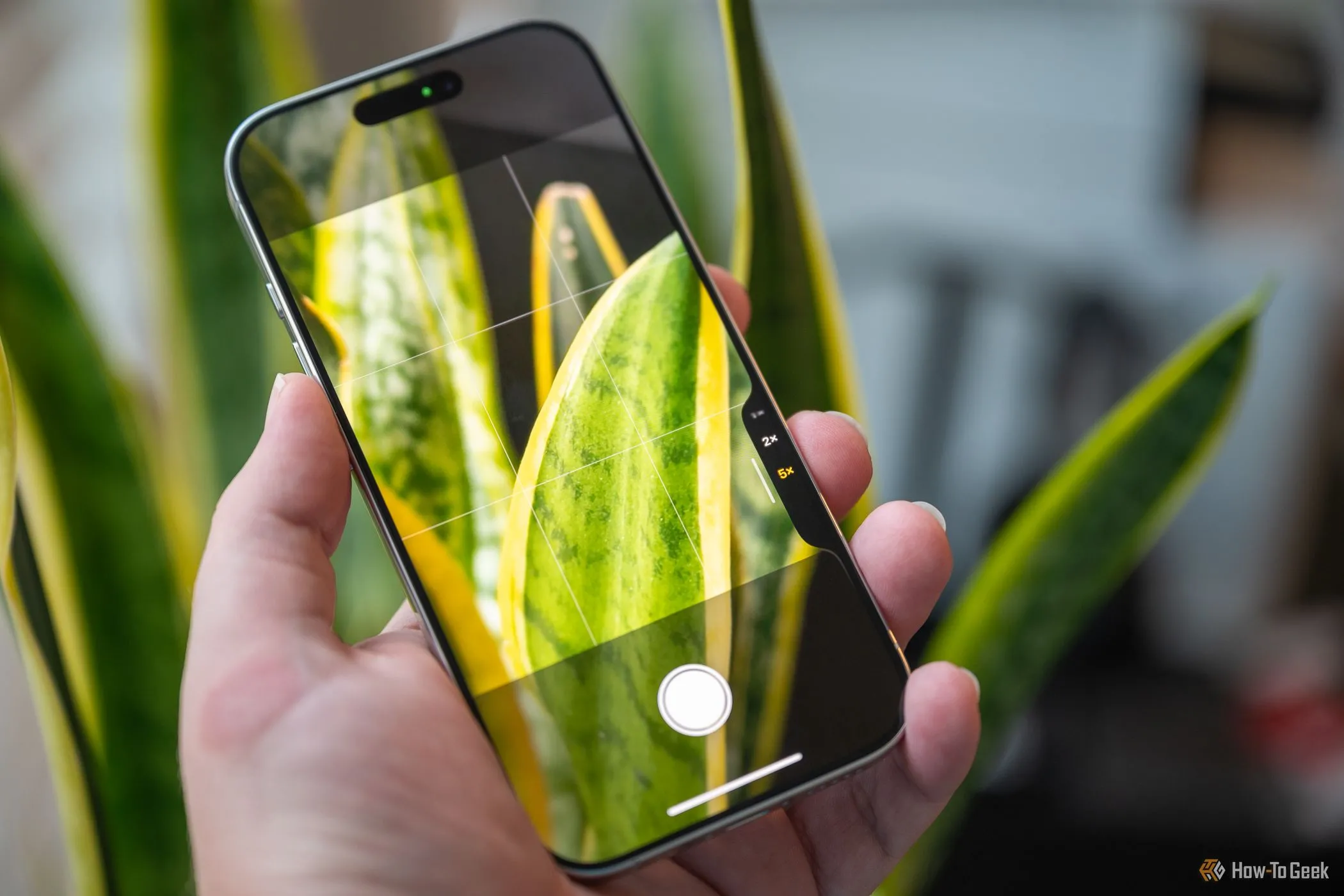 Người dùng thao tác chụp ảnh bằng nút Camera Control trên iPhone 16 Pro ở chế độ dọc, tăng tốc độ trải nghiệm.