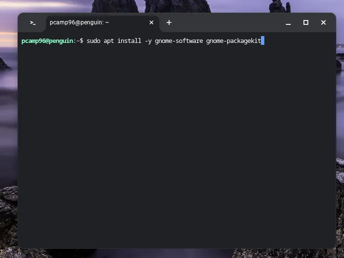 Thực hiện lệnh apt để cài đặt ứng dụng GNOME Software trong môi trường Linux trên Chromebook.