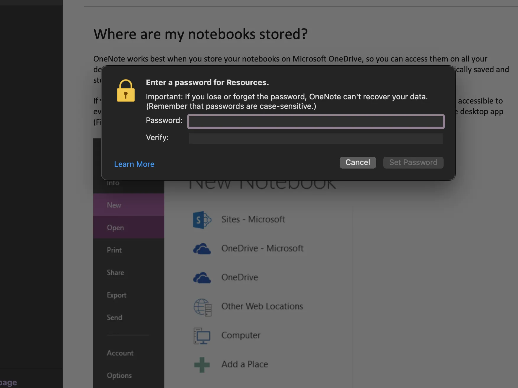 Tính năng bảo vệ các phần (sections) của sổ tay bằng mật khẩu trong Microsoft OneNote