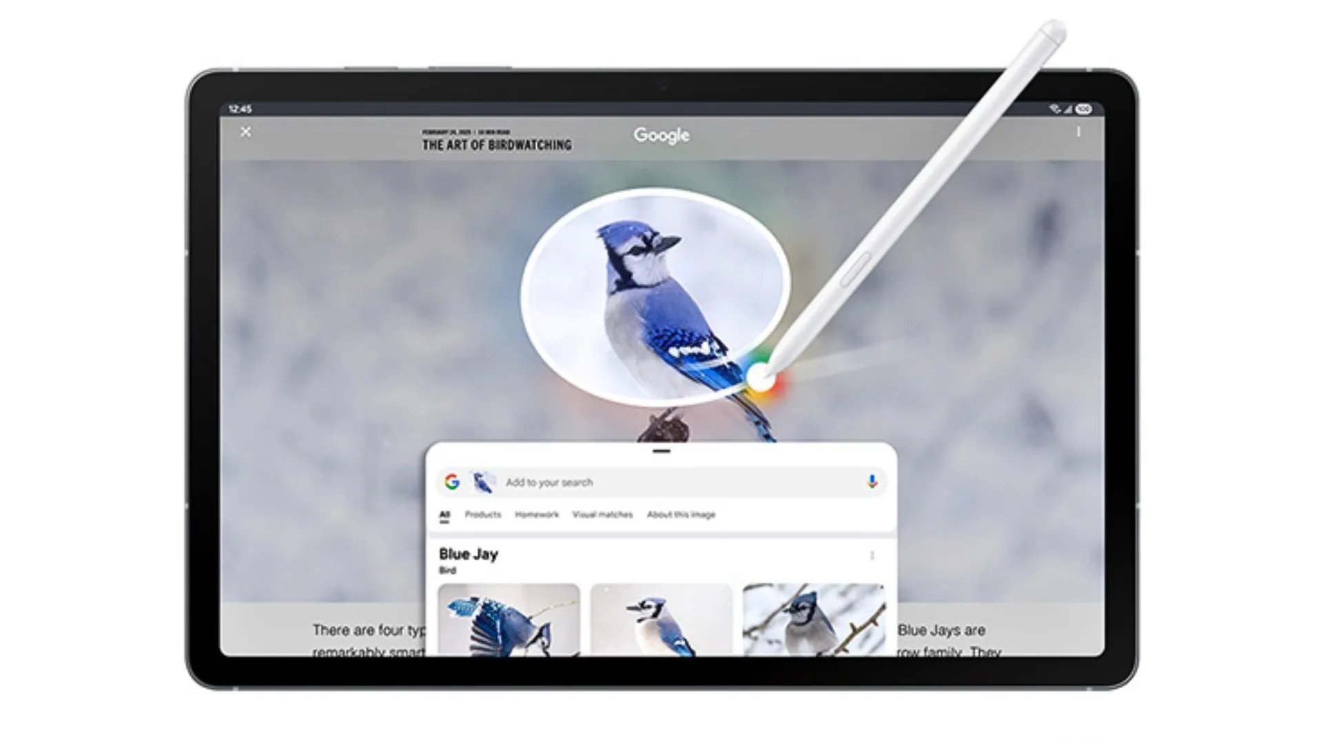 Tính năng Circle to Search trên One UI 7.0 hiển thị trên màn hình Galaxy Tab S10 FE