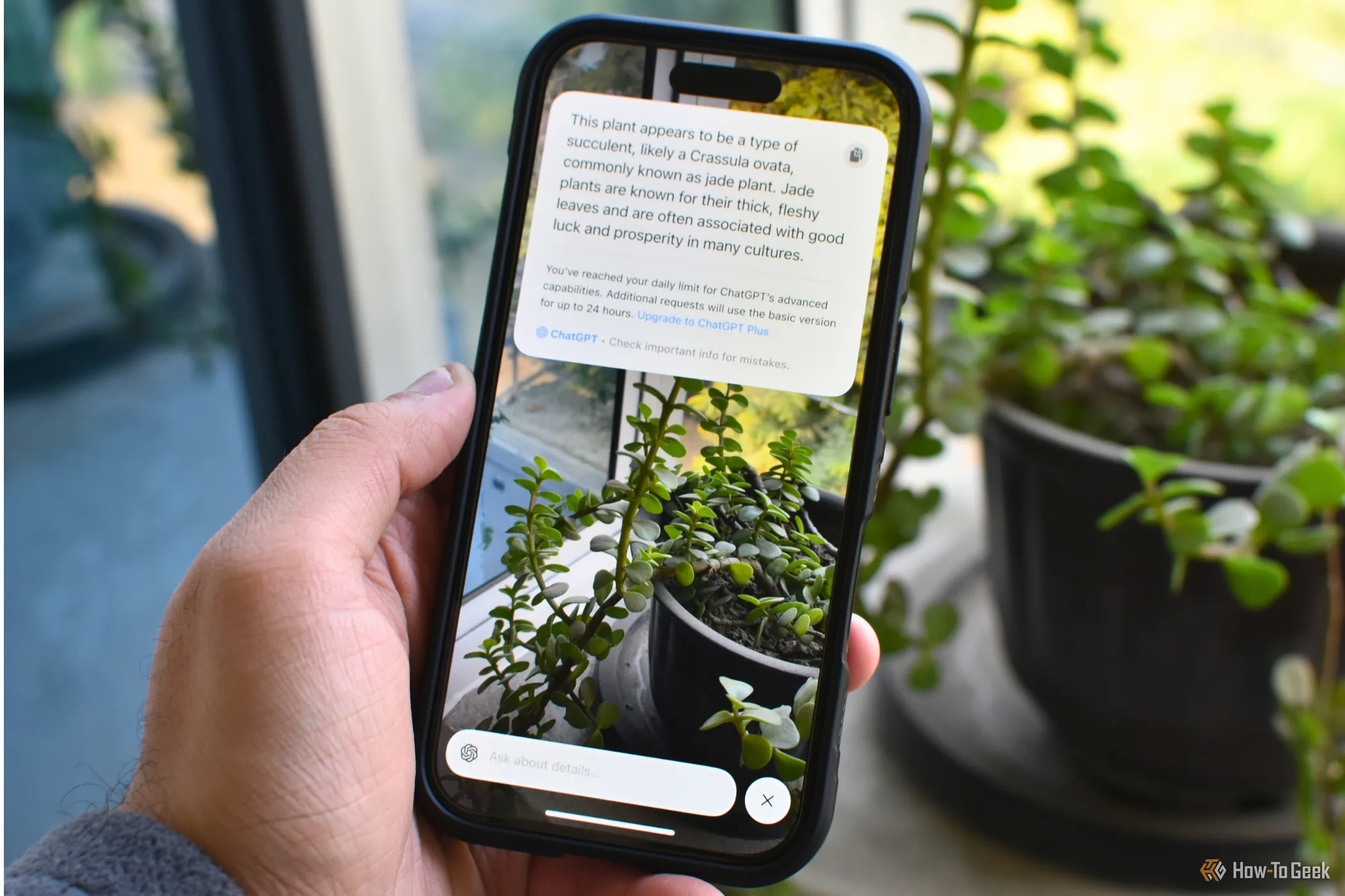 Tính năng Visual Intelligence hiển thị trên màn hình iPhone 16, tích hợp AI để phân tích hình ảnh và tìm kiếm thông tin.