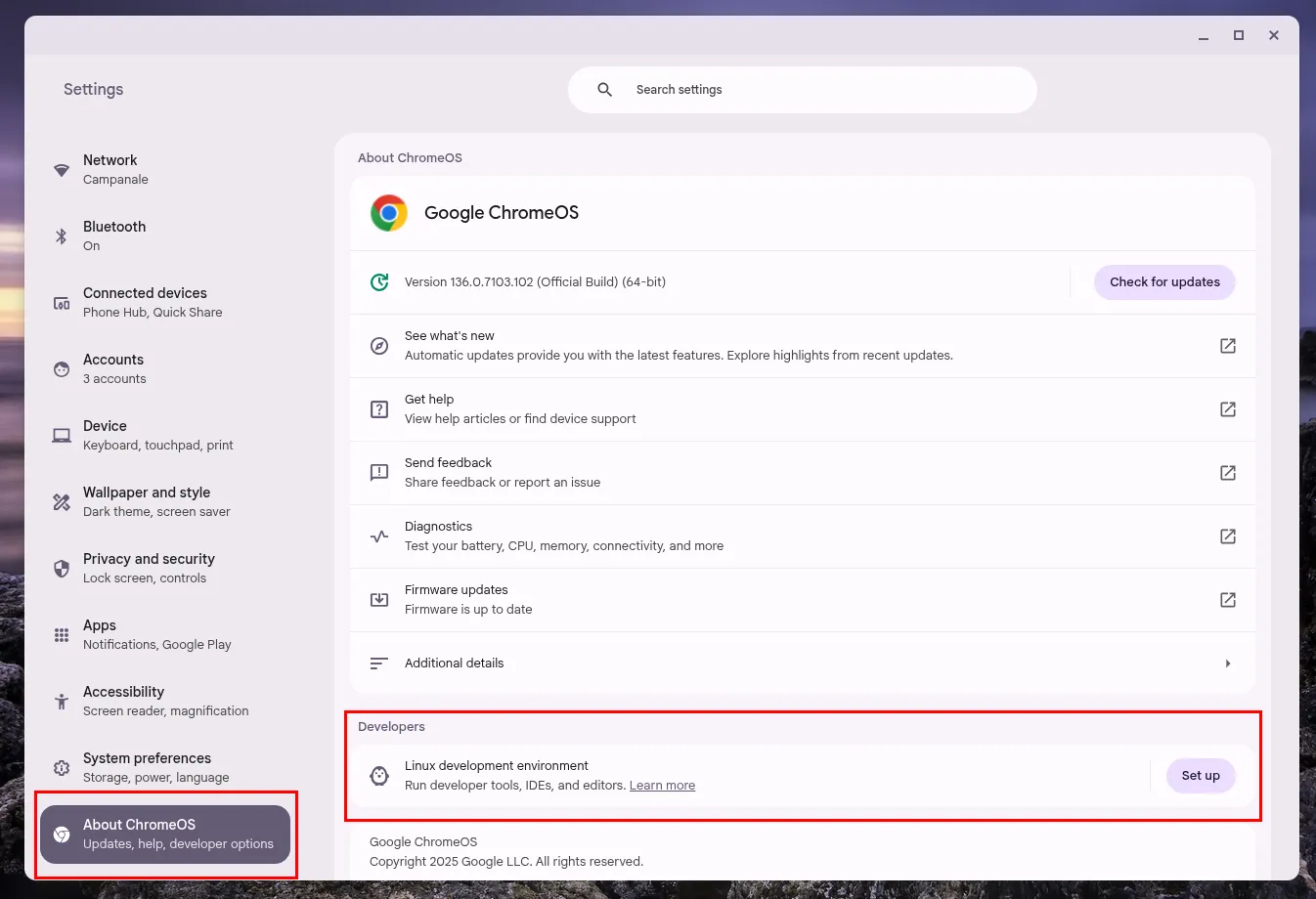 Trang &quot;Giới thiệu về ChromeOS&quot; với mục &quot;Nhà phát triển&quot; và nút &quot;Thiết lập&quot; cho Linux.