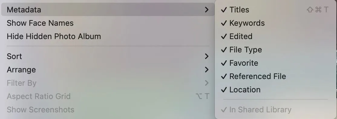 Tùy chỉnh các tùy chọn hiển thị metadata trong ứng dụng Photos của Mac.