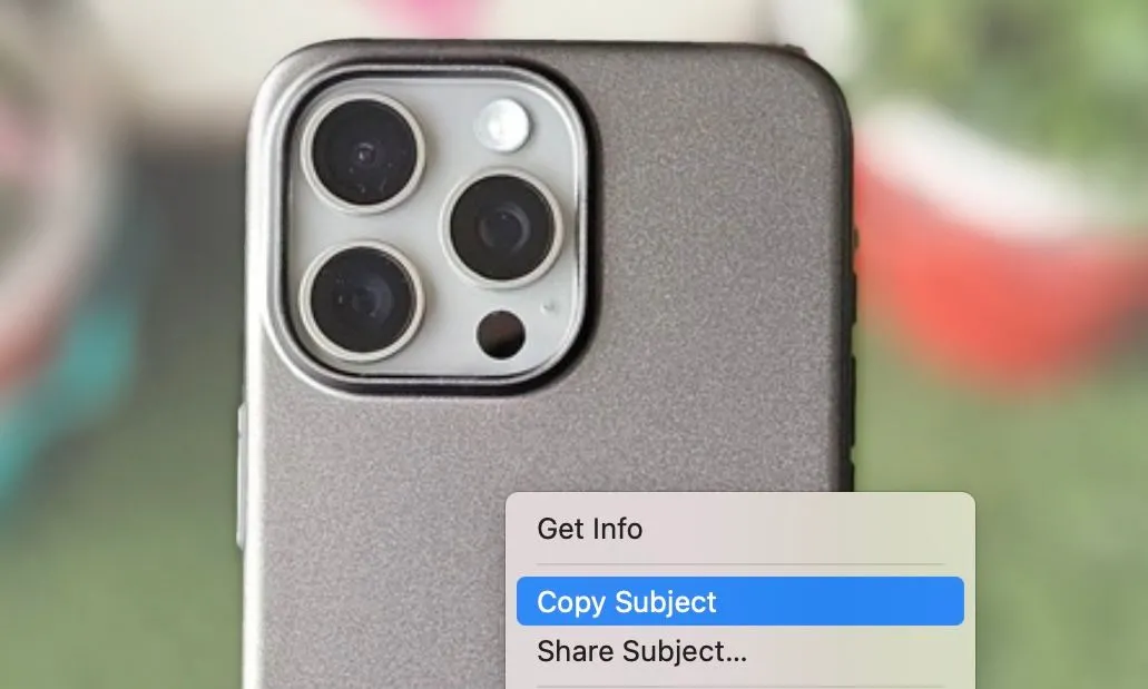 Tùy chọn Copy Subject trong ứng dụng Photos trên Mac để tách và sao chép chủ thể khỏi ảnh.