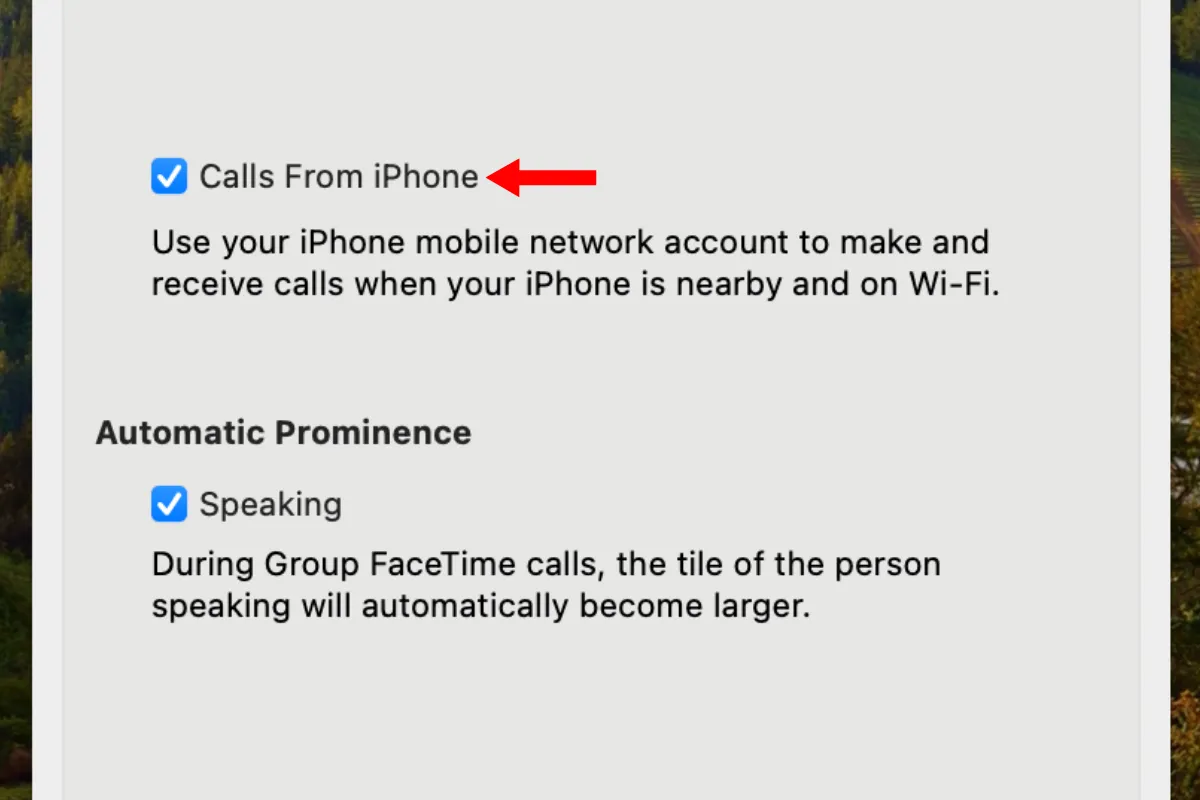 Tùy chọn &quot;Cuộc gọi từ iPhone&quot; trong cài đặt FaceTime trên Mac.