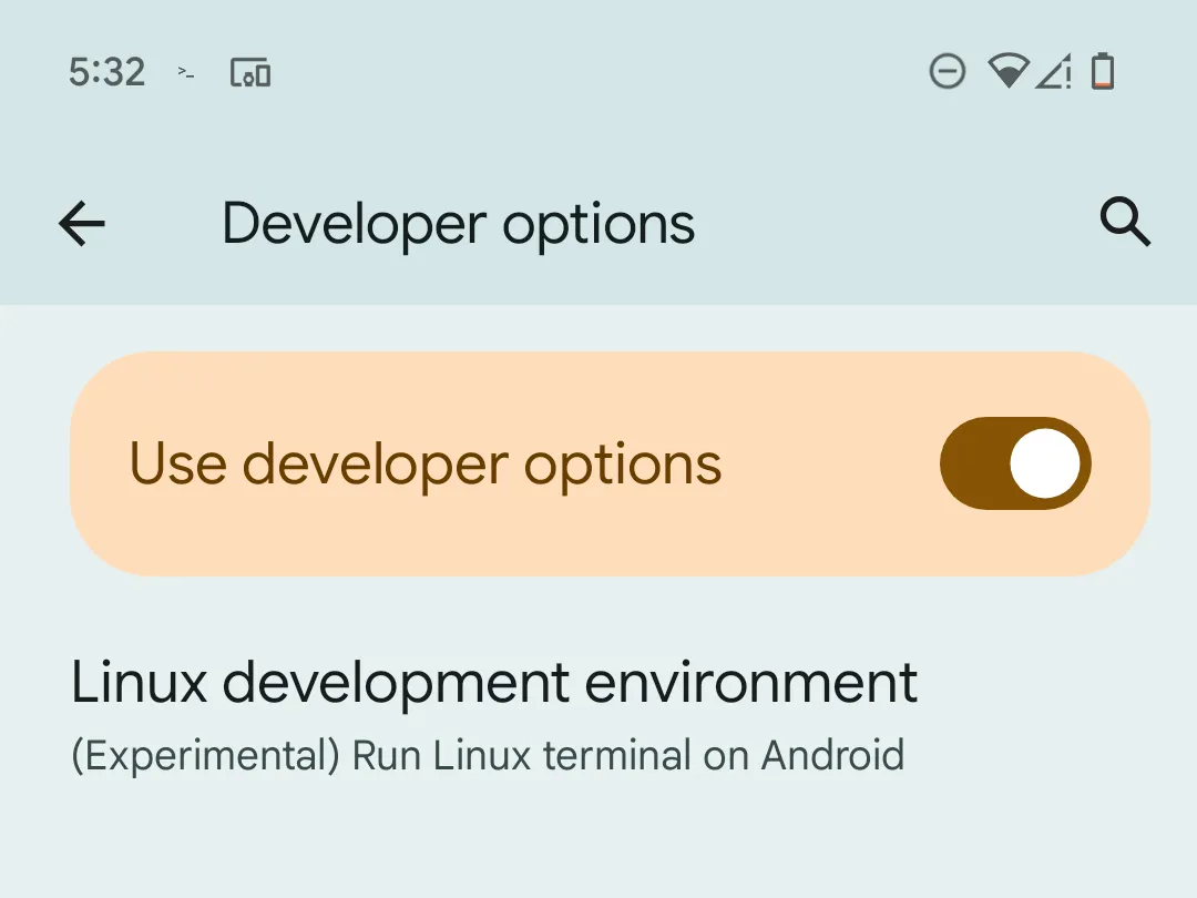 Tùy chọn &quot;Môi trường phát triển Linux&quot; trong phần Tùy chọn nhà phát triển của Android trên điện thoại Pixel, cho phép kích hoạt Linux Terminal.