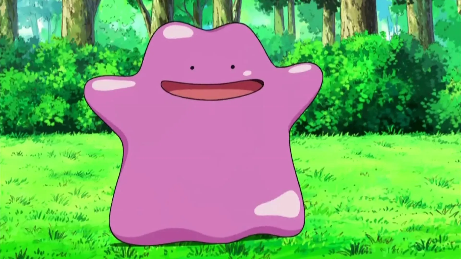Ditto trong hình dạng gốc trong anime Pokémon