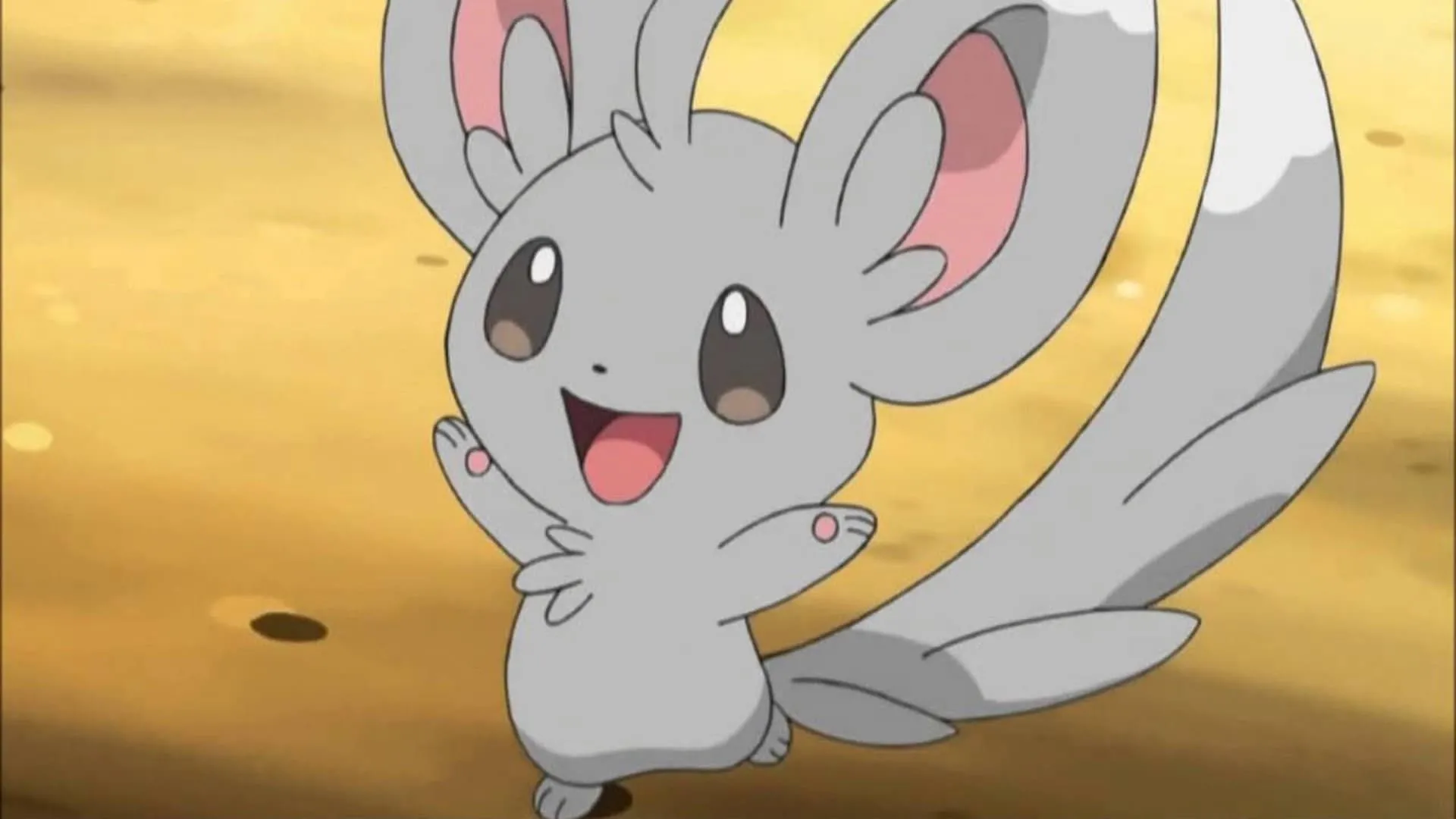 Minccino xuất hiện trong anime Pokémon