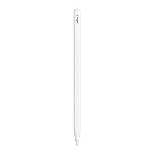 Apple Pencil (thế hệ 2), công cụ không thể thiếu cho việc ghi chú và sáng tạo trên iPad
