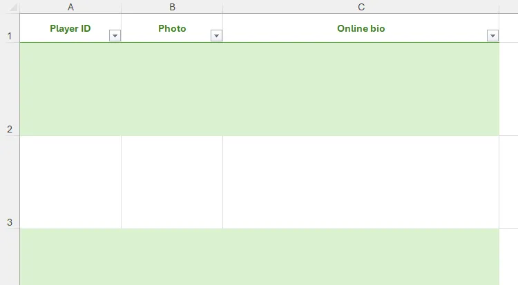 Bảng Excel trống với các tiêu đề cột &quot;Mã cầu thủ&quot;, &quot;Ảnh&quot; và &quot;Tiểu sử trực tuyến&quot; đã định dạng.