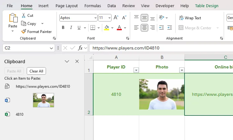 Các mục đã sao chép hiển thị trong ngăn Clipboard của Excel và được dán vào các ô trên bảng tính.