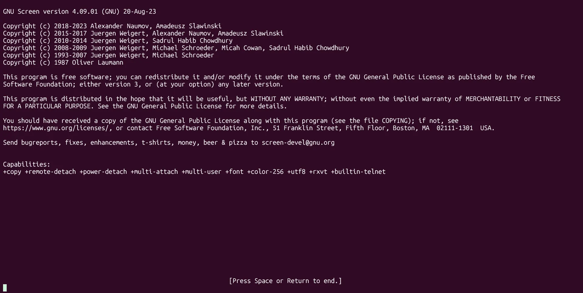 GNU Screen đang chạy trên Ubuntu WSL, hiển thị môi trường terminal truyền thống.