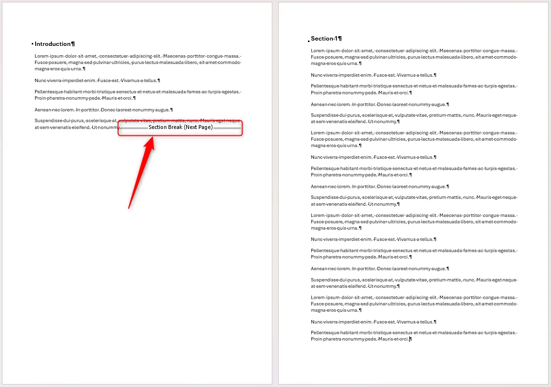 Một tài liệu Word chứa hai phần được phân tách bằng Next Page Section Break.