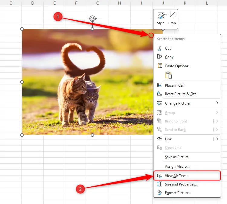 Một trang tính Microsoft Excel với một hình ảnh, menu chuột phải của hình ảnh được mở và View Alt Text được chọn.