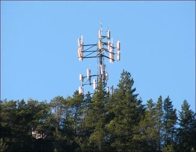 Trạm phát sóng di động khuất sau hàng cây, thể hiện ảnh hưởng của vật cản tự nhiên đến tín hiệu mạng.