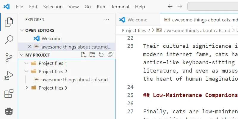 Trình quản lý tệp tin tích hợp trong VS Code, hiển thị cấu trúc thư mục và các tệp dự án.