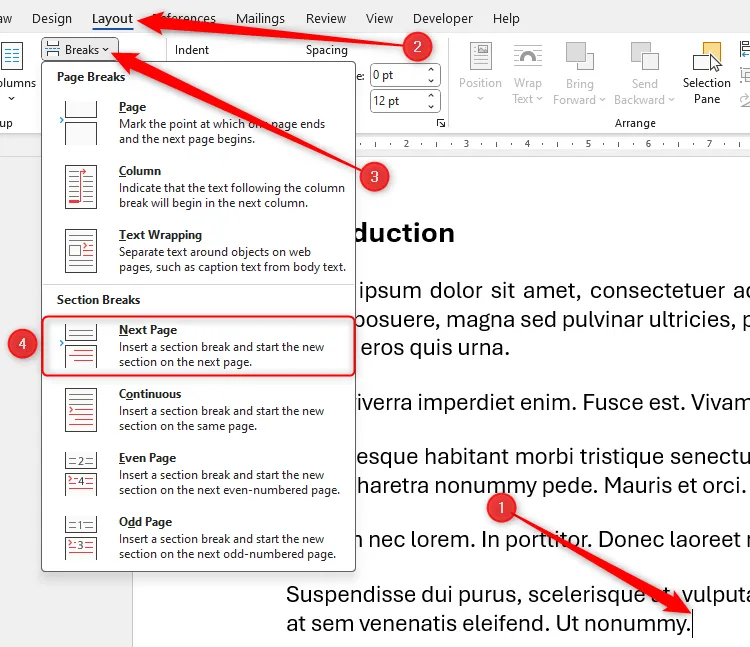 Tùy chọn Next Page Section Break trong Microsoft Word.