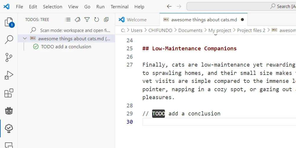 Ví dụ comment TODO trong VS Code và tiện ích Todo Tree hiển thị danh sách tác vụ ở thanh điều hướng.